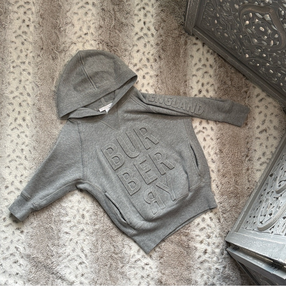 Burberry Kids gray sweater dress girls 3T Aurora raised logo designer old money